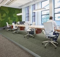 Forbo Tessera Nexus 3507 Share фото 2 | FLOORDEALER